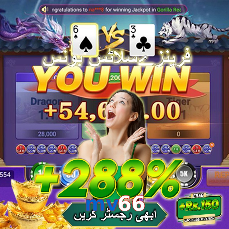 mv66