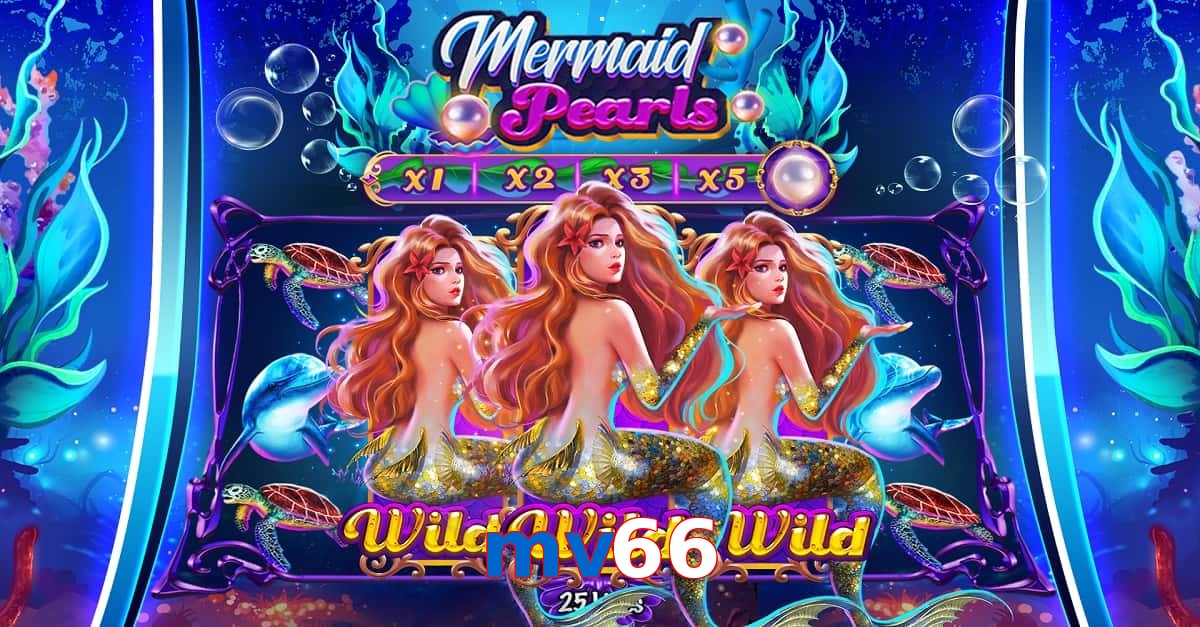mv66