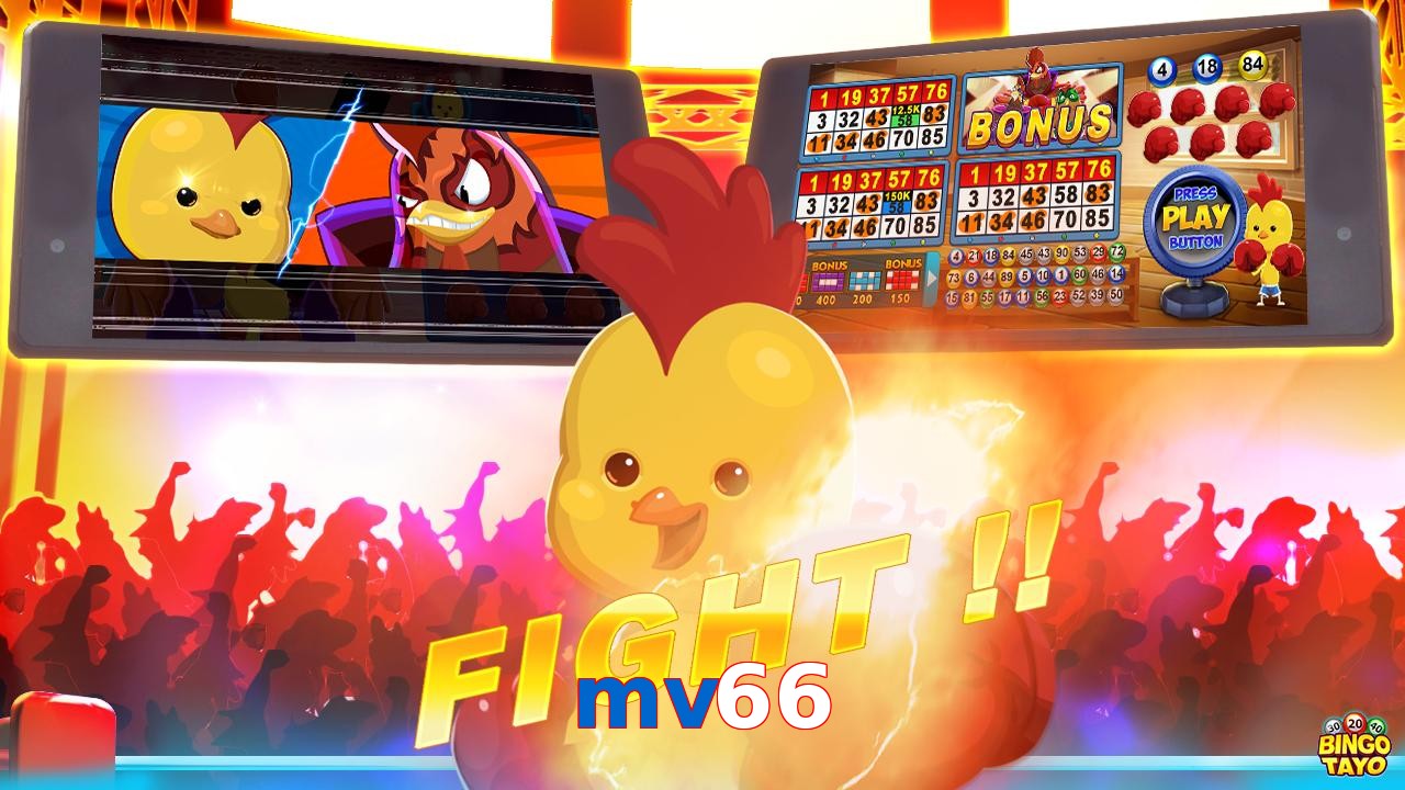 mv66