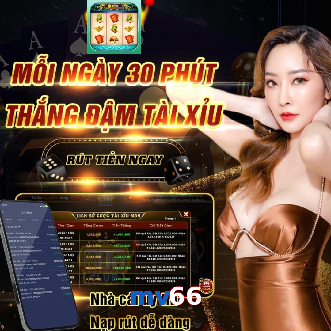 mv66