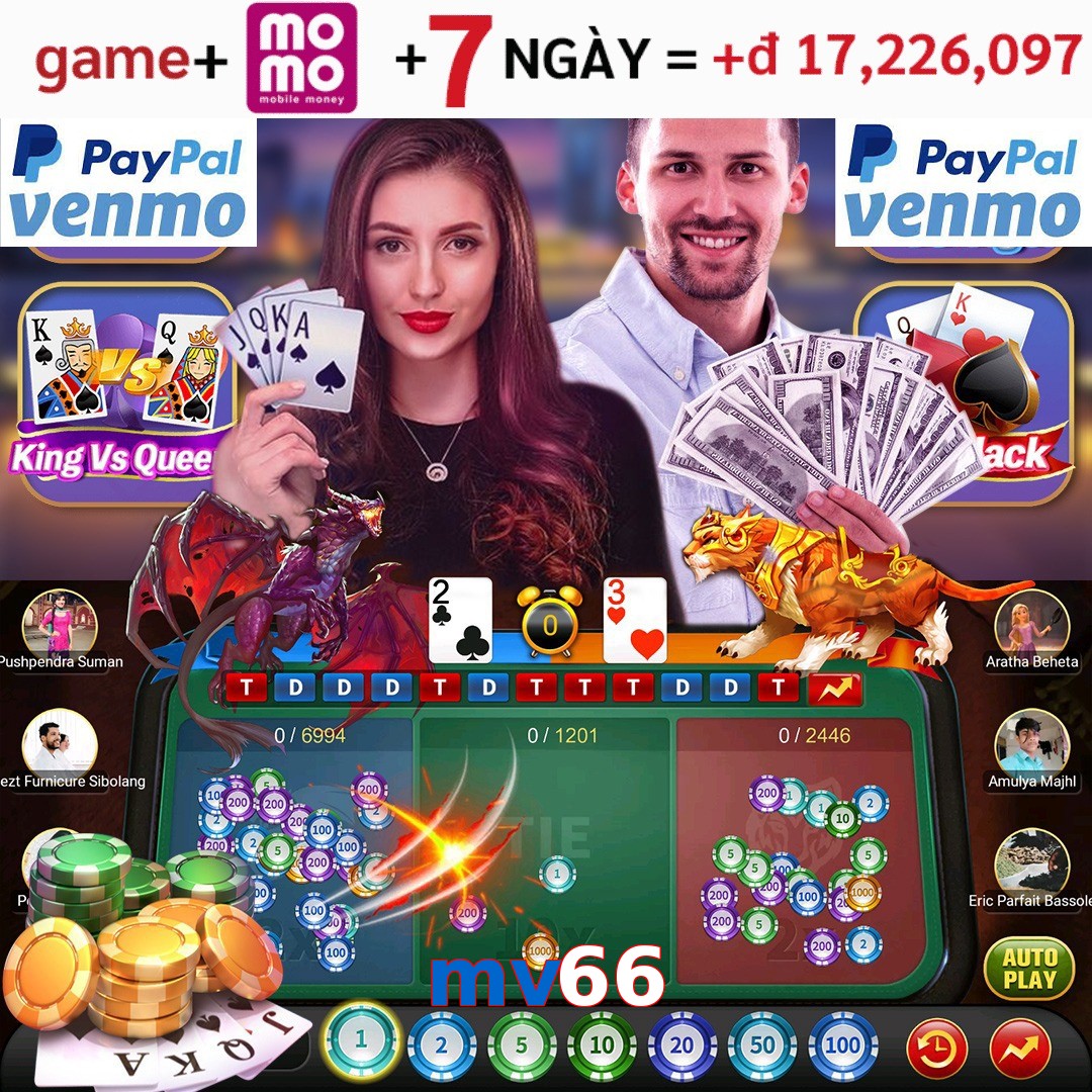 mv66